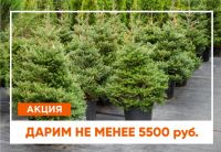 Дарим не менее 5 500 рублей!
