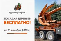 Посадка деревьев — бесплатно!
